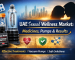 uae sexual wellness market
