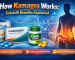 how kamagra works