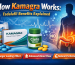 how kamagra works