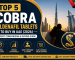 Top 5 Cobra Sildenafil Tablets buying guide for UAE users in 2026.